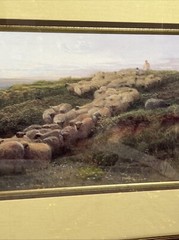 Large Framed George Shalders Signed Print Sheep In Field Landscape 40”x21.5” VTG