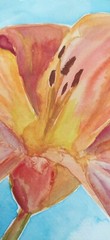 watercolor paintings original