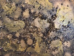 Abstract Textured Painting on Canvas, Titled „Gold For You“, Serg Graff, COA