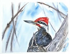 100% Original Watercolor Painting Woodpecker Bird on the Tree