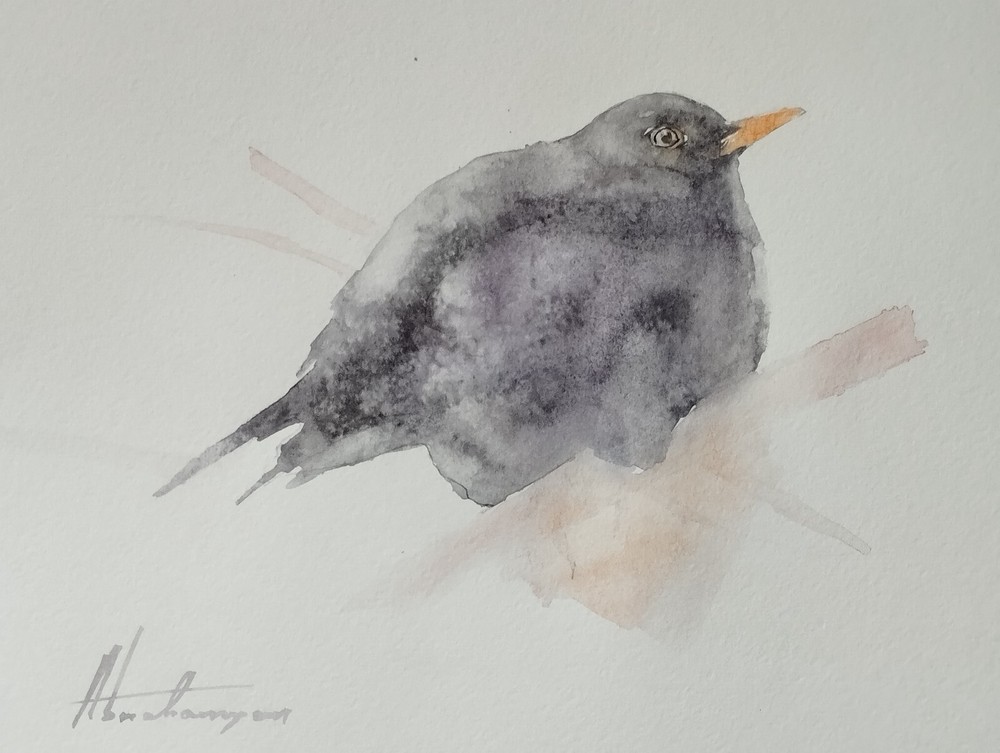 Blackbird, Birds, Watercolor artwork, Handmade, Original painting on paper