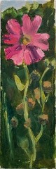 Original art pink floral oil painting Impressionism Ukrainian artist mallow
