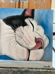 Original oil painting signed 11 x 14 in cute white and black cat sleeping