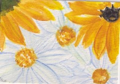 ACEO Black eyed Susan, Daisy, Sunflower, Original Watercolor Painting