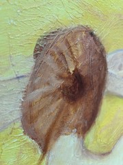 Oil On Canvas Nude Woman 30×40 Original By Robert Thompson Unframed