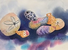 Sea Shells Original Watercolor Painting