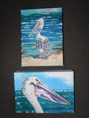 PELICAN BIRDS, ACRYLIC HAND PAINTED, 5″ x 7″