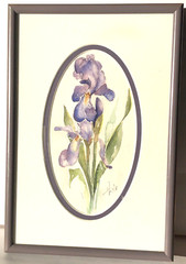 Original Art, Iris Watercolour Painting by Lyle, In Purple Frame 10″x 6 3/4″