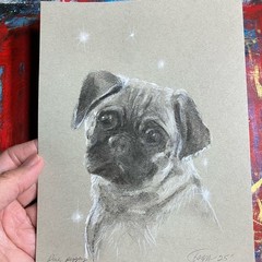 Original Painting Pug puppy dog charcoal pastel Canine art Artwork USA Tonal