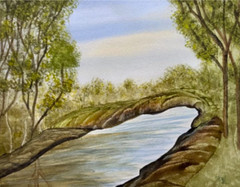 PAINTING WATERCOLOR 11X14 & WHITE MAT 16X20 FOREST TREES POND LANDSCAPE ORIGINAL