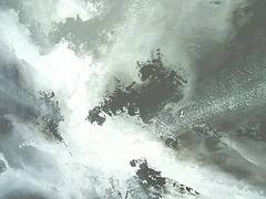 Signed ORIG. PAINTING „Neutrivity“ 27×52 rolled canvas by Steven G.Graff USA