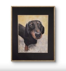 Original Dachshund Dog 14 x 11 Pastel Paper Matted Art