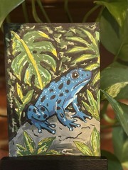 ACEO Acrylic Paint, Nature, Frogs, Semi Realistic, Wildlife Miniature Art