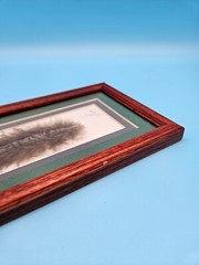 Hand Painted Feather Humming Bird Framed Signed By Artist Bird Decor Unique