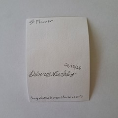 ACEO Original Flower Yellow Sunflowers