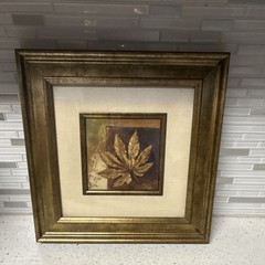 Pinto Framed Abstract Leaf Painting on Canvas, 13×13 Inches, Nature
