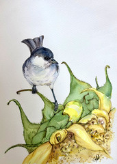 Black Capped Chickadee Original Watercolor Painting Bird Art Sunflower Nature