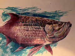 Barry Barnett Original Painting of fish – Run Silver – Run Silent