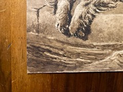 Drawing Ink Wash On Paper XIX Century 1850 Animals Dog Art Old