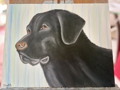 Original oil painting 11 x 14 inches handsome black Labrador retriever dog