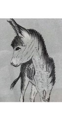 Original Artwork of Donkey by Kuri – Framed