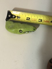Hand Painted Rock 2 Green Dinosaurs And A Hedgehog