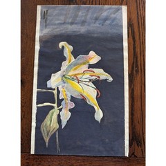 Vtg Still Life Watercolor 10×16 Flower Lilie Signed Teri Banas Minimalist Moody