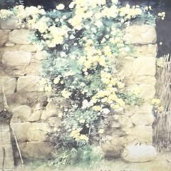 Sun Ying Cable Stone Wall With Flowering Vines Watercolor Painting Gorgeous
