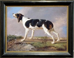 Hand Painted Oil Painting art Animal hound dog on Canvas 24″X30″