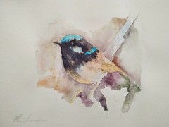 Fairy Wren, Birds, Watercolor artwork, Handmade, Original painting on paper