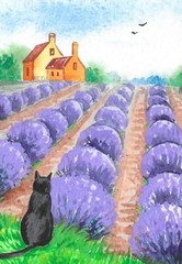 5X7 INCH PRINT OF PAINTING RYTA FARM LAVENDER FIELD BLACK CAT FARMHOUSE HILLS 🌷