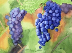 Grape 5, Fruit, Original Watercolor Painting, Signed, 16×12 inches