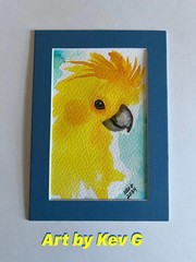 Original Watercolor Yellow Bird Painting – Matted – Cockatoo