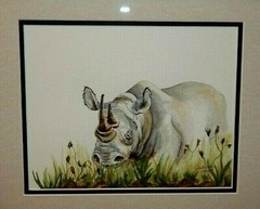 AFRICAN Rhinoceros Original Watercolor Painting, Vibrant, Detailed, Signed, Mint