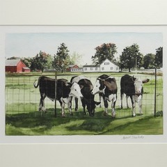 Astrid Sheckels Massachusetts Artist Illustrator Hatfield Cows Farm WC Painting