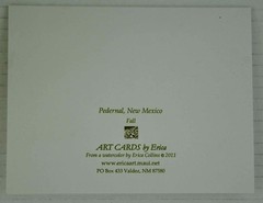 Erica Collins Framed Original Pastel Painting New Mexico Mesa-Pedernal +Bonus!