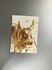ORIGINAL Coffee Cow Painting ACEO Miniature Realism ATC Highland Cows Art Gift