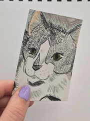 ACEO Original | Black and White Kitten Cat Semi Realistic | TheCottageFoxStudios