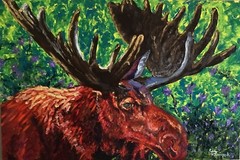 SALE! MOOSE,antlers,original,OIL,wildlife,painting,trophy,hunting,wall art,bull