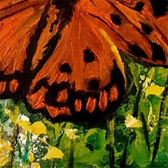 YARY DLUHOS Butterfly Insect Spring Nature Animals Original Art Oil Painting
