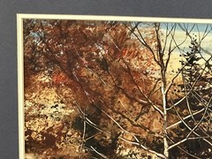 Dennis Frings Signed Original Watercolor Painting Forest Stream Landscape Framed