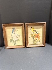 Vintage Art LaMay Bird Prints – Set of 2 Framed Wall Art (Bluebird & Goldfinch)