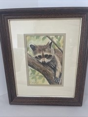 Original Painting Raccoon Forest Animal Framed 9.5×12” Dated Signed 1990