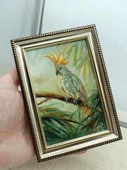 Cockatoo Original Oil Painting 4×6 Framed Signed Parrot Bird Tropical Wall Art