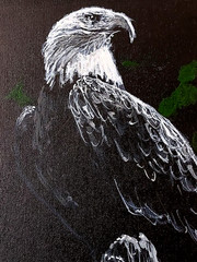 LOVELESS – „BALD EAGLE“ original acrylic Americana on canvas 11 X 14 COA