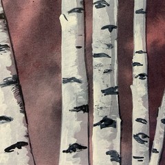 Original Watercolor Painting Birch Trees Art Landscape Signed Unframed 5×7