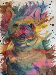 Original watercolor French Bulldog colorful cute Made to order pet portrait art