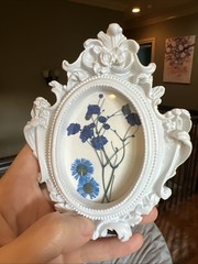 Dried Flowers ,real,cute,original,miniature small,mini,framed