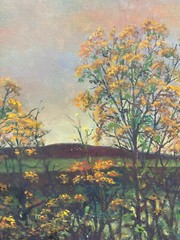 Ryszard Biaga 1993 Oil Painting Hill Landscape Blooming Broom ? Frame Oil