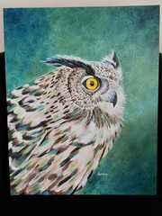 16×20 Original Owl Acrylic Painting
